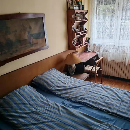 Lion-cozy Apartment Belgrad